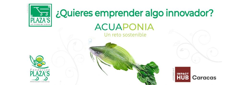 Caracas, October 3rd, 2019.- In their commitment to preserve the environment and support quality nutrition, Automercados Plazas and Impact Hub Caracas - a community that promotes triple-impact ventures: financial, social and environmental – invited projects and companies to participate in Acuaponia, a sustainable challenge, starting Tuesday, October 1st, 2019.
